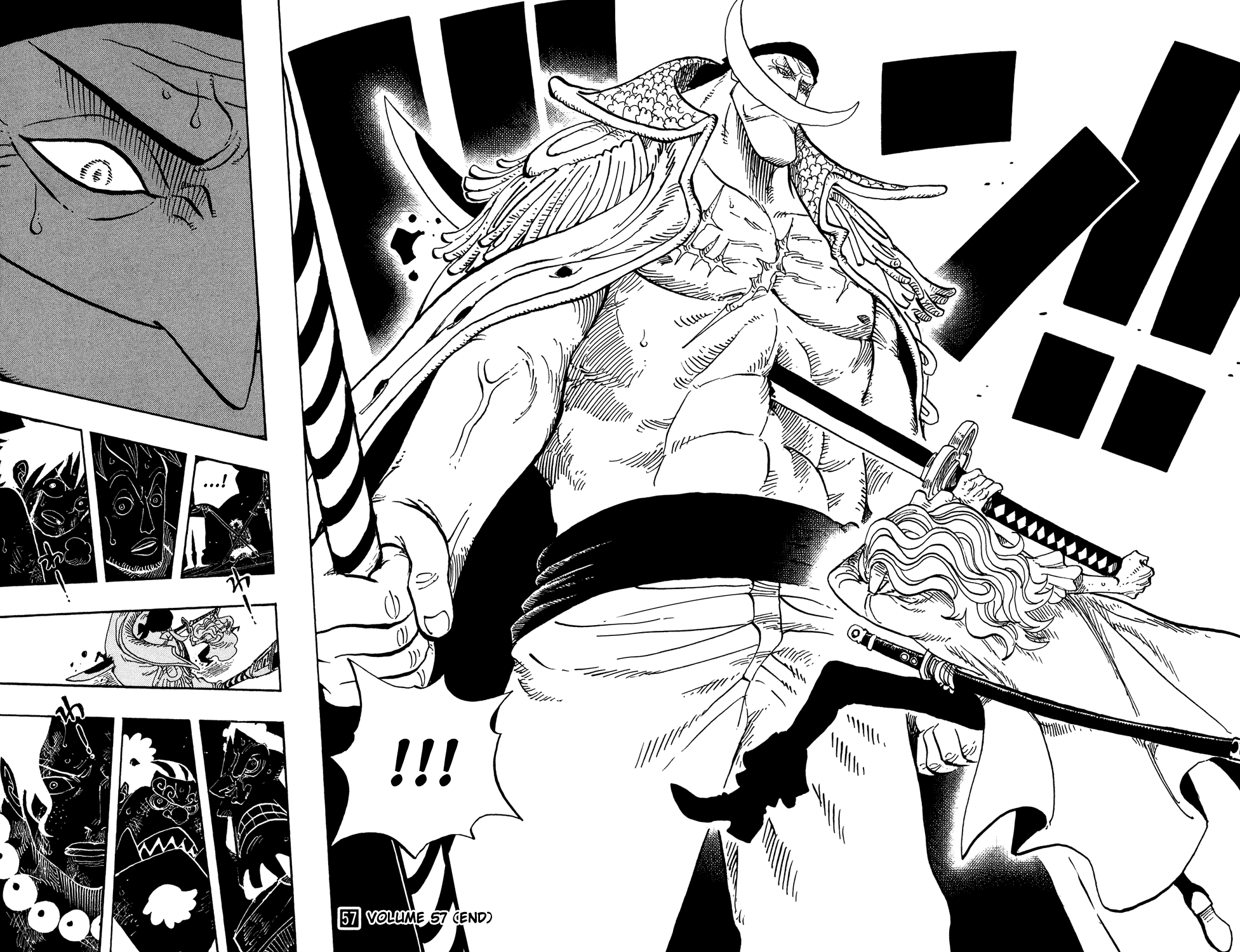 One Piece, Chapter 562 image 15
